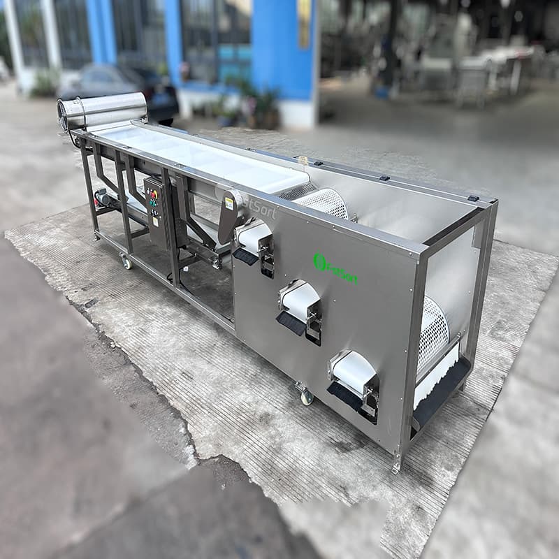 images/1763359980686blueberry sorting 2.jpg